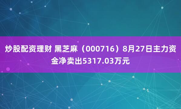 炒股配资理财 黑芝麻（000716）8月27日主力资金净卖出5317.03万元