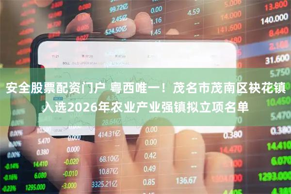 安全股票配资门户 粤西唯一！茂名市茂南区袂花镇入选2026年农业产业强镇拟立项名单